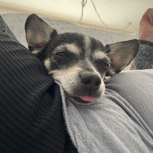 Meet your Posher, Taya